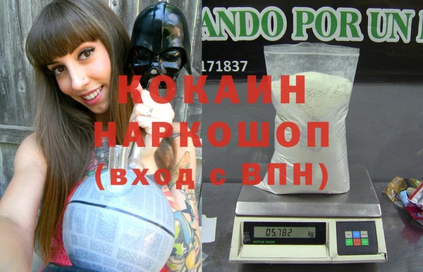стаф Аркадак
