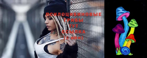 крисы Армянск