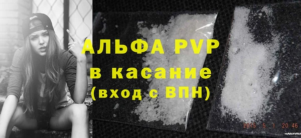 стаф Аркадак