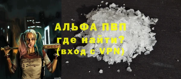 стаф Аркадак