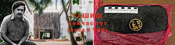 стаф Аркадак