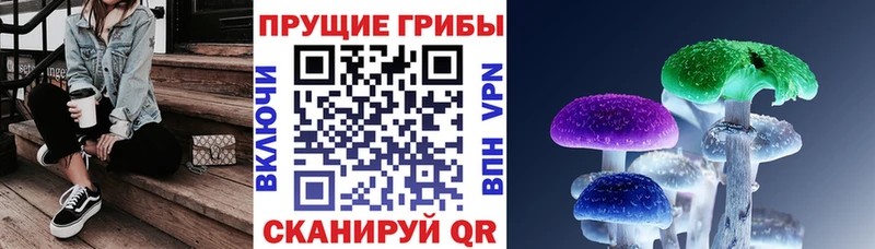 Псилоцибиновые грибы Psilocybe  Новый Оскол 